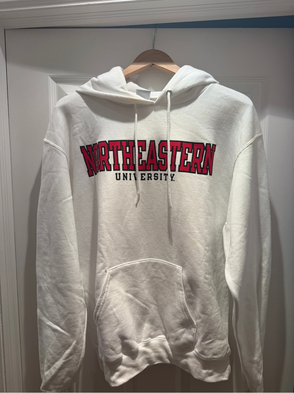 Northeastern Champion Hoodie